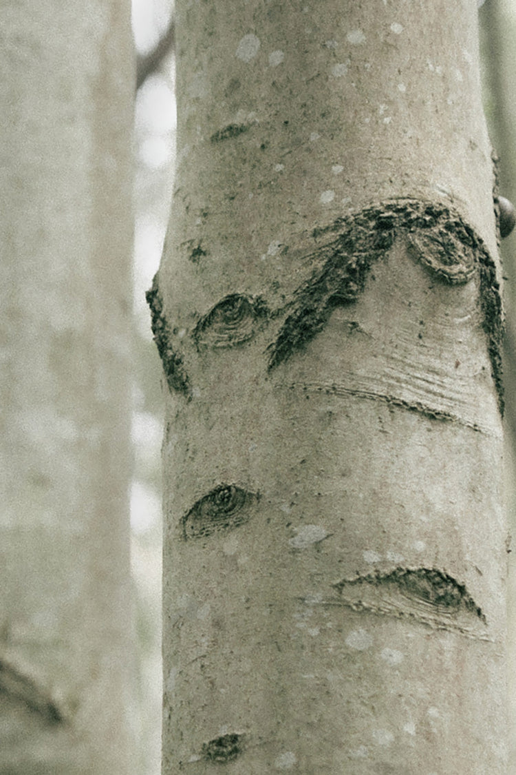 Earl Of East Shinrin Yoku Classic Candle