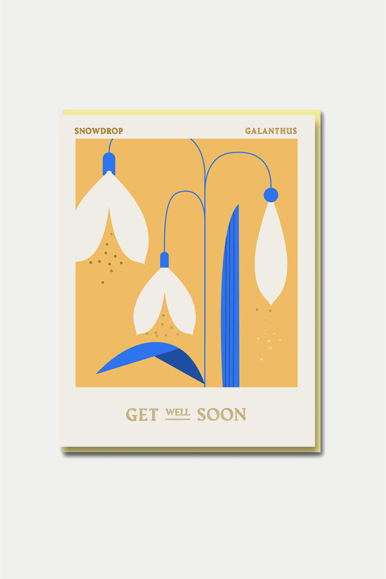 1973 Columbia Road - Snowdrop - Get Well Soon