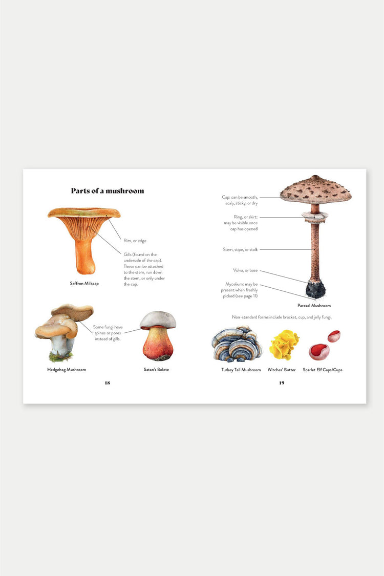 Bookspeed Mushroom Miscellany: An Illustrated Guide