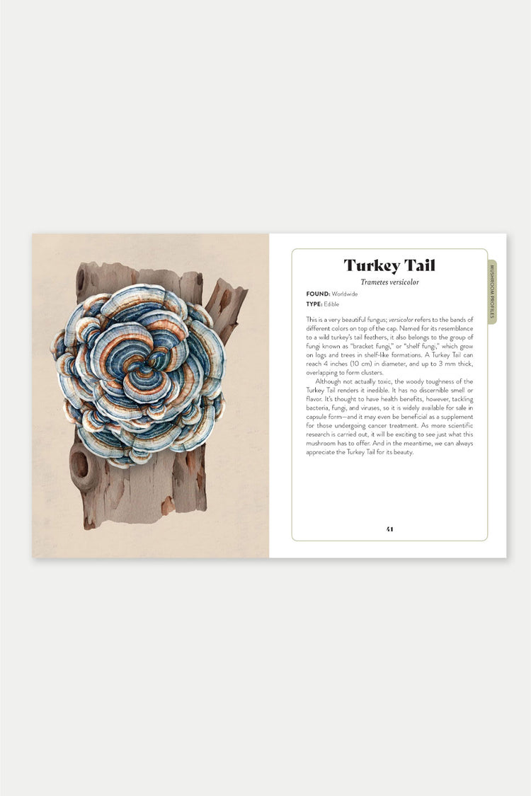 Bookspeed Mushroom Miscellany: An Illustrated Guide