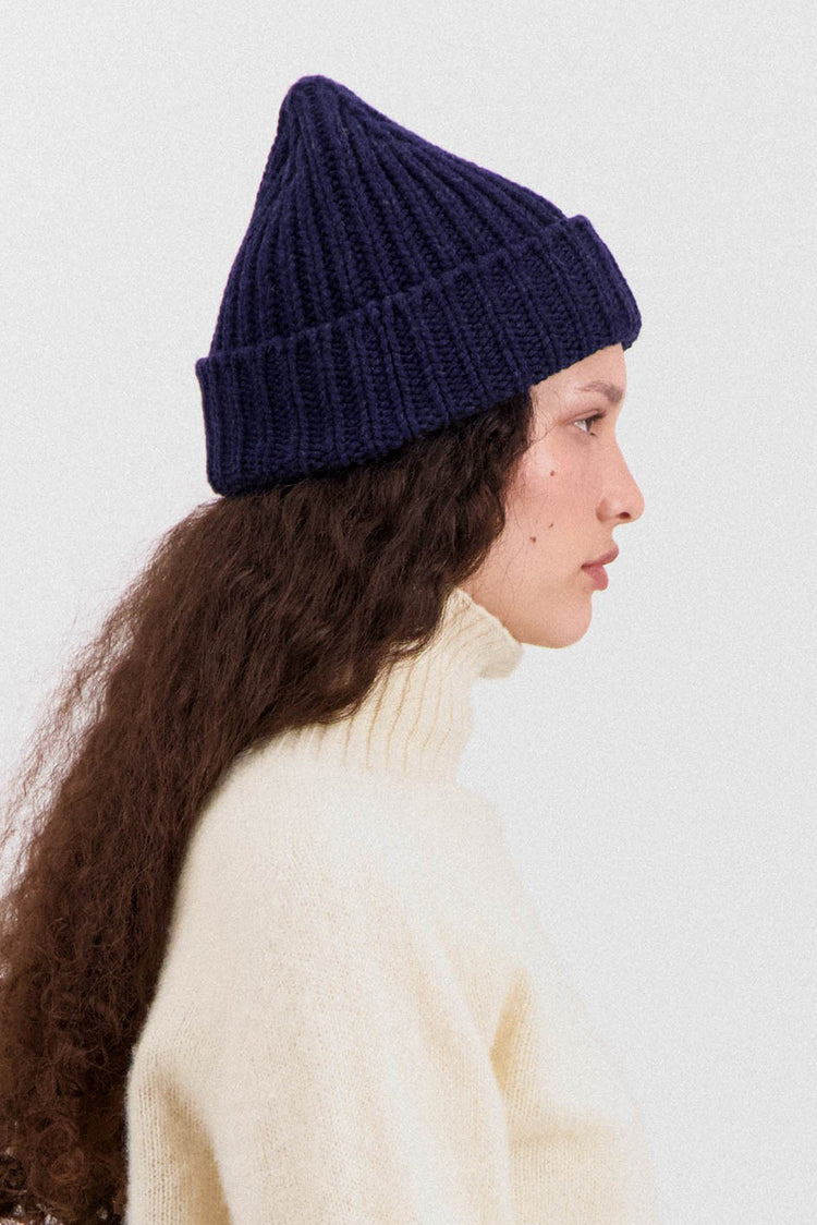 Howlin Navy Brain Freezer Hat