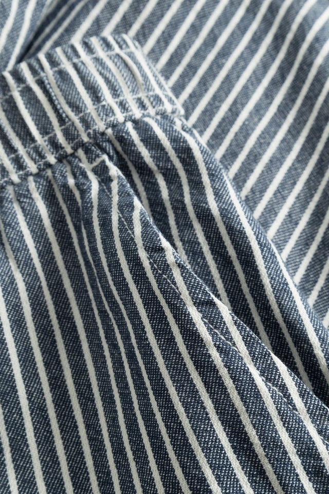 Dedicated Stripe Blue Vejle Shorts