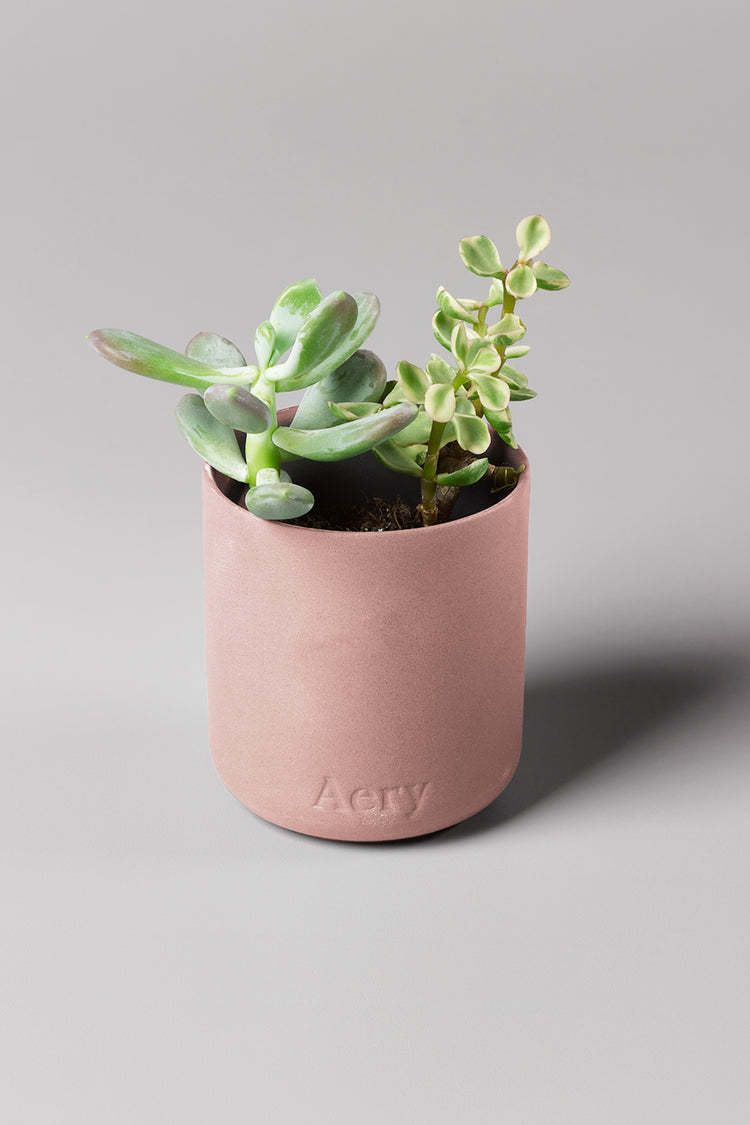 Aery Moroccan Rose Scented Candle
