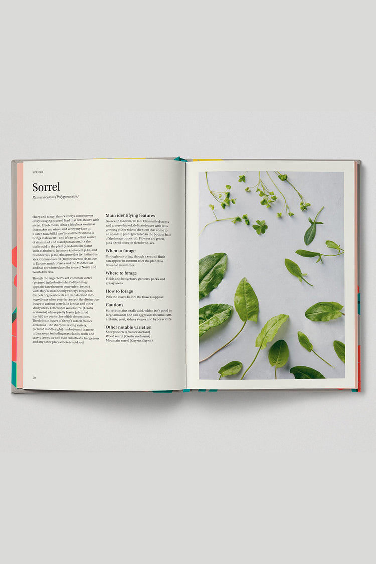 Hoxton Mini Press 'Wild & Sweet' By Hoxton Mini Press