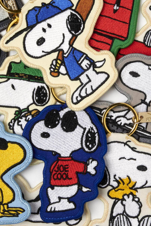 Peanuts DJ Key Charm