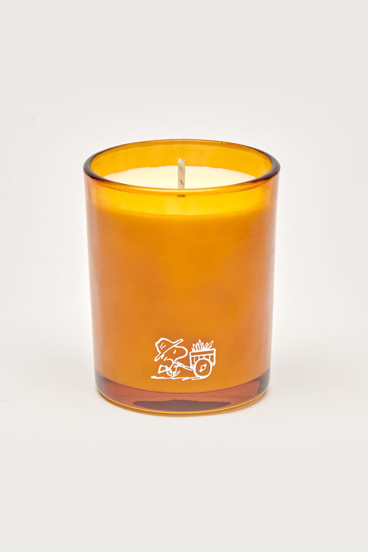 Peanuts Blooms Candle