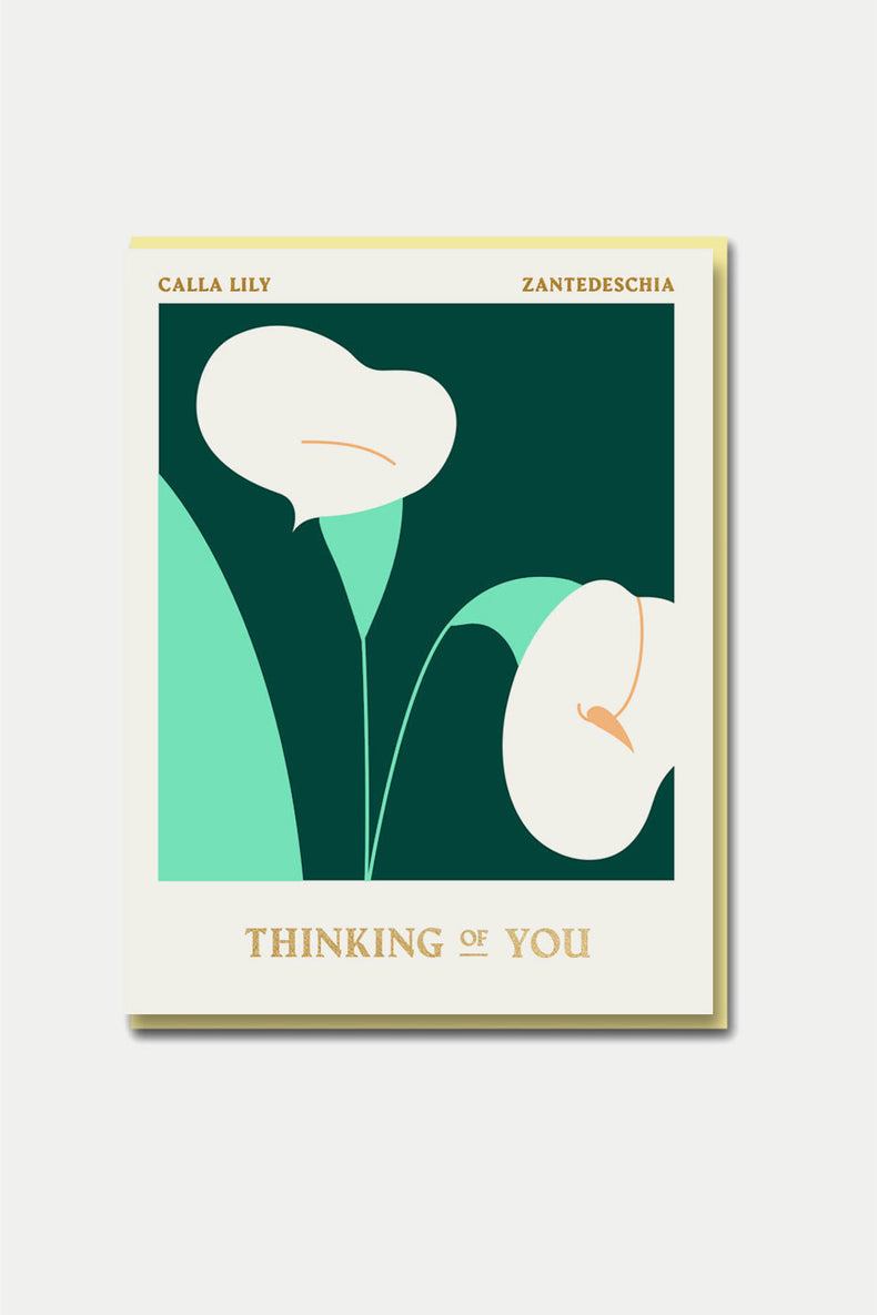 Columbia Road - Calla Lilly - Thinking of You