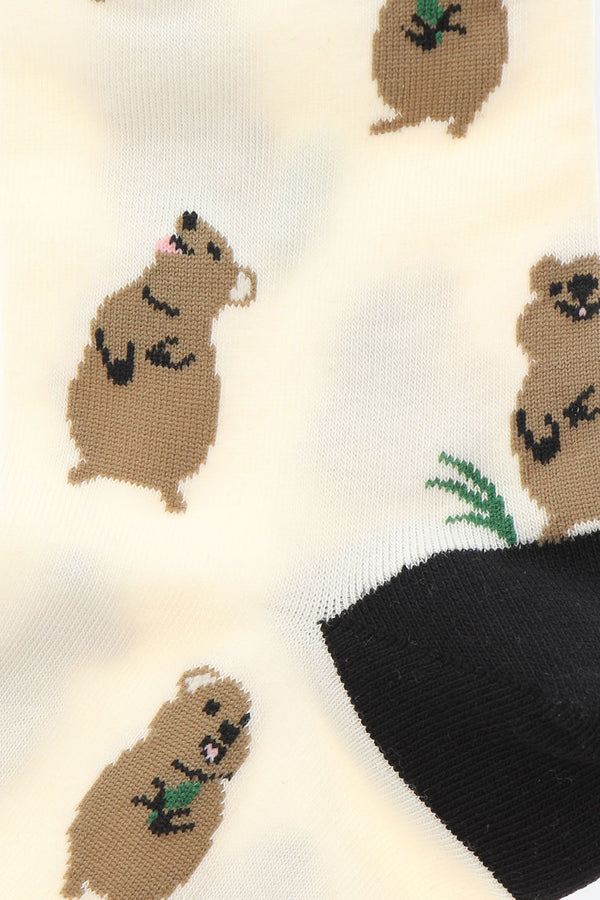 Ivory Quokka Crew Socks