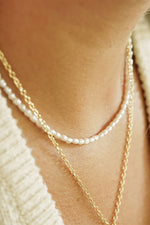 Gold Plated Freshwater Seed Pearl Necklace