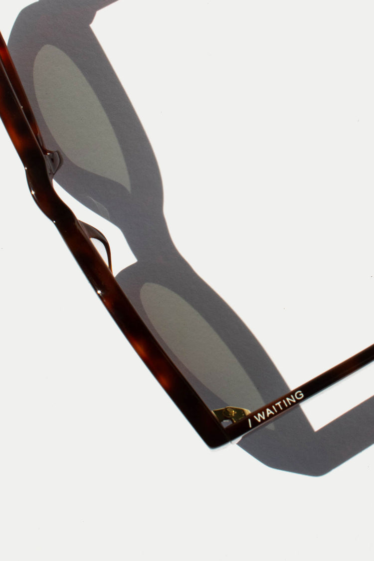 Waiting For The Sun Terracotta Fred Green Lens Sunglasses 