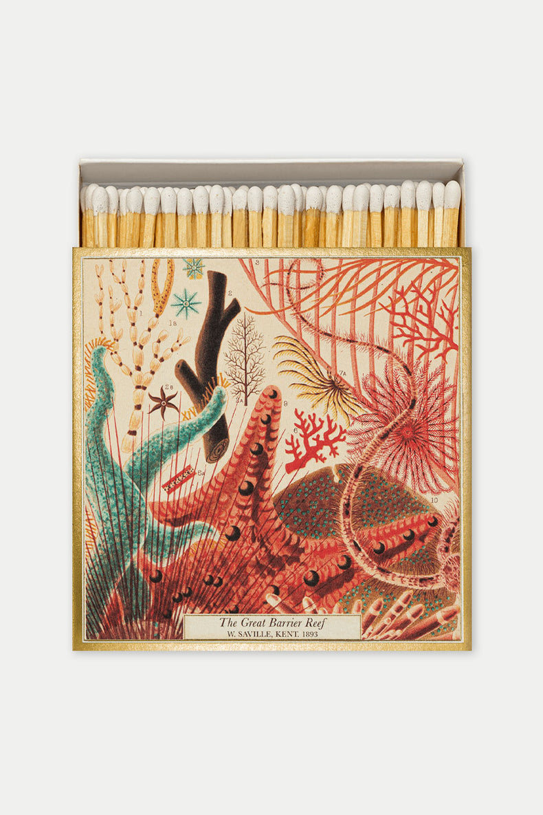 Great Barrier Reef Matches