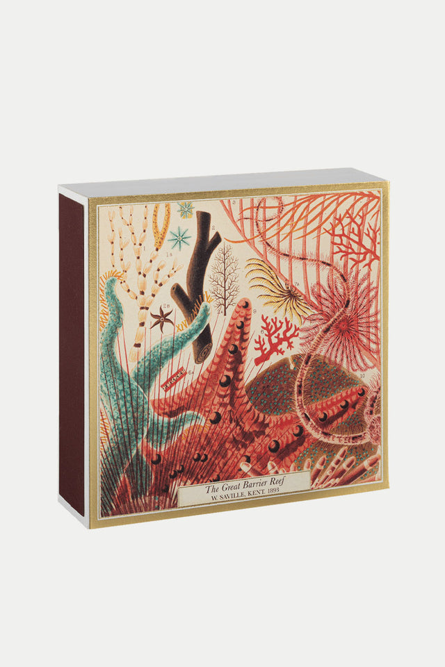 Great Barrier Reef Matches