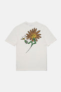 Edmmond Studios Off White Terran T-Shirt 