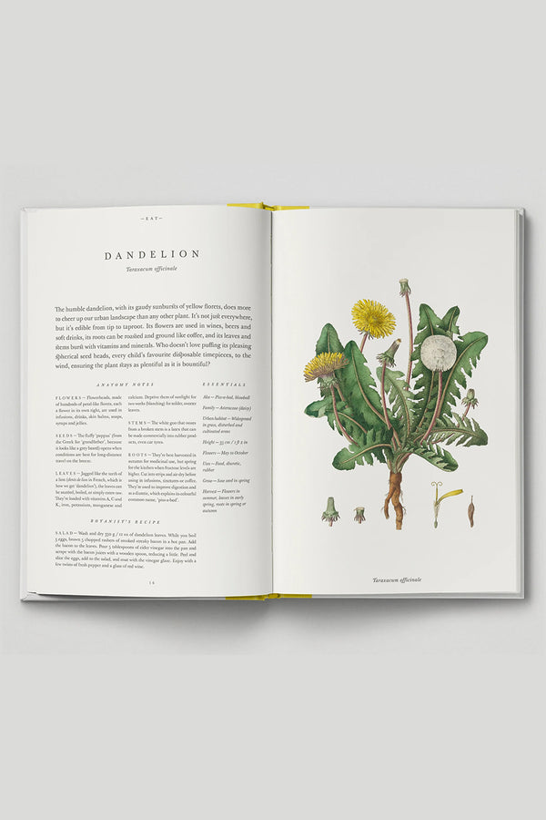 'The Botanical City' by Hoxton Mini Press