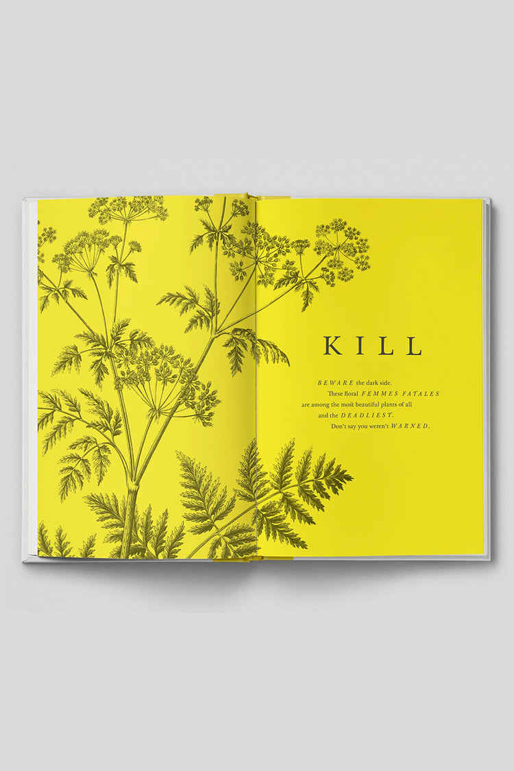 'The Botanical City' by Hoxton Mini Press