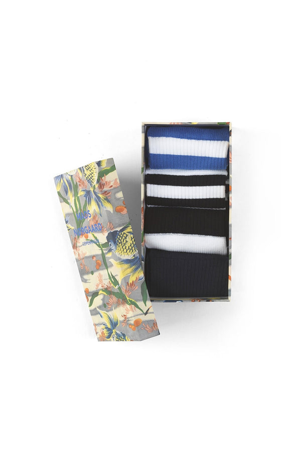 Fantail Sock Box Pack of 4