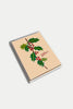 Holly Faces Seasons Greetings Box of 8 Cards
