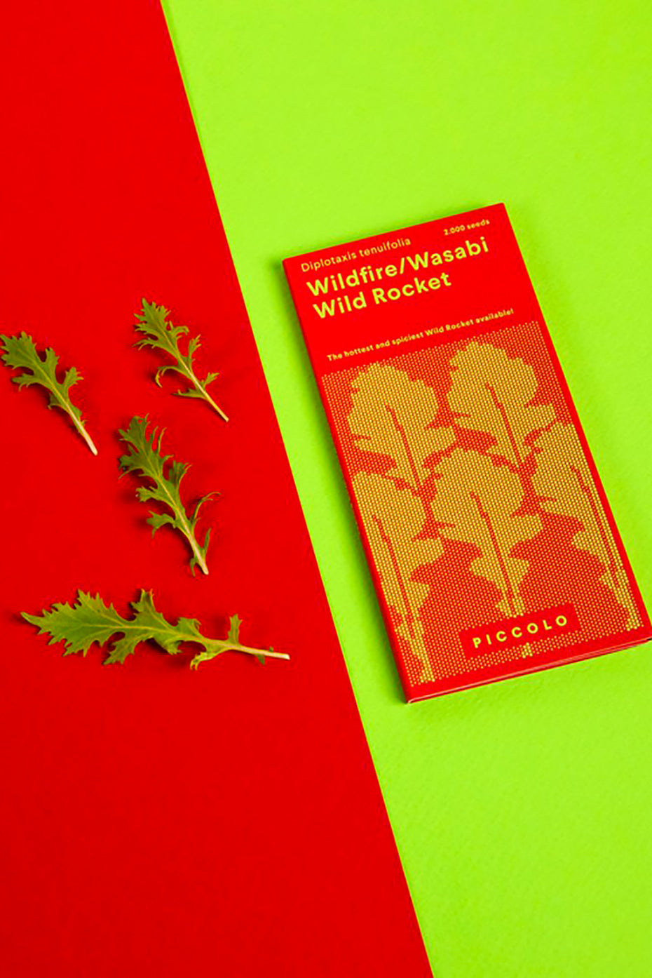 Wild Rocket Wildfire-Wasabi Rucola