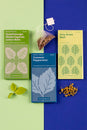 Herbal Teas Seed Collection