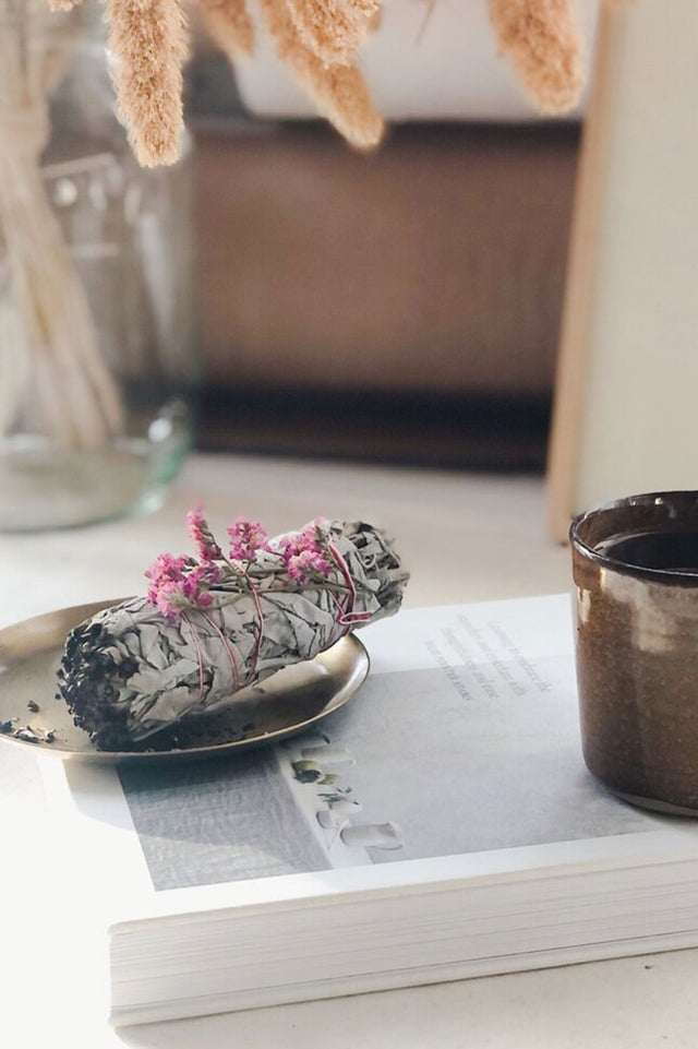 Californian White Sage With Pink Flowers