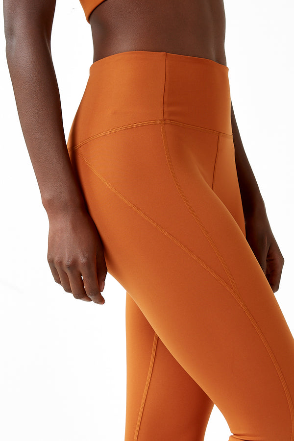 Burnt Orange Skinny Fit High Rise Pants · Filly Flair