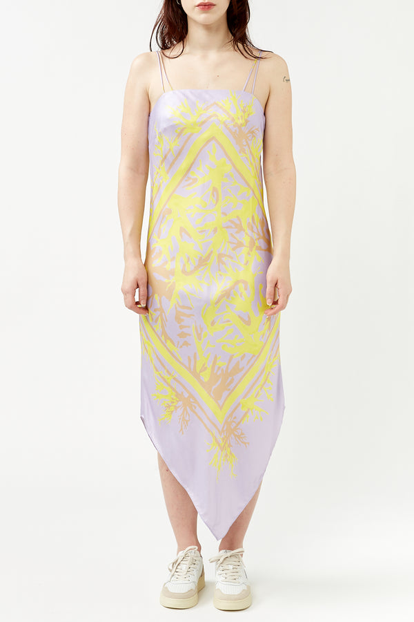 Panse Printed Dress