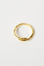 Gold Parallel Ring