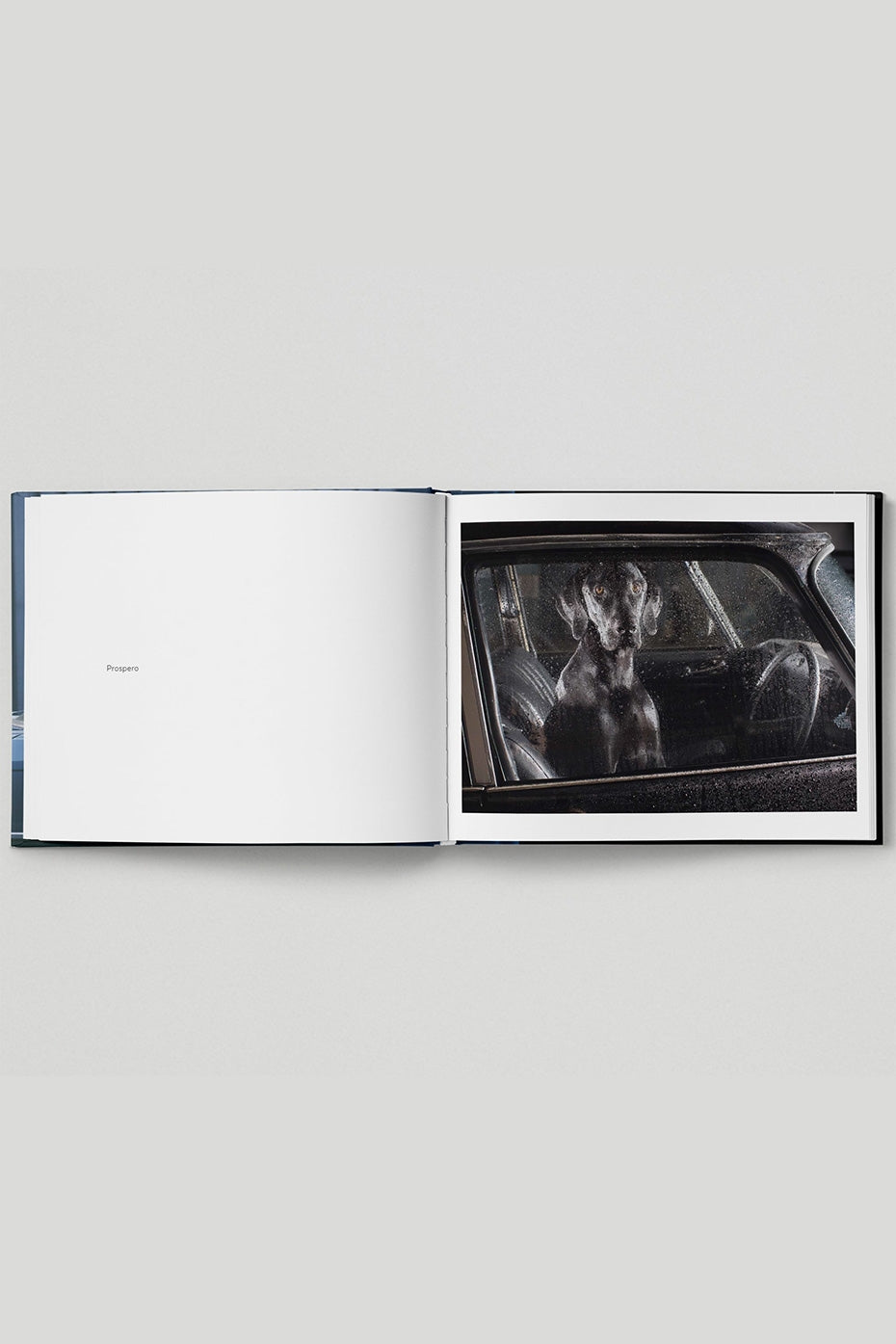 HOXTON MINI PRESS THE SILENCE OF DOGS IN CARS BOOK