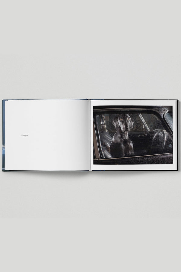 HOXTON MINI PRESS THE SILENCE OF DOGS IN CARS BOOK