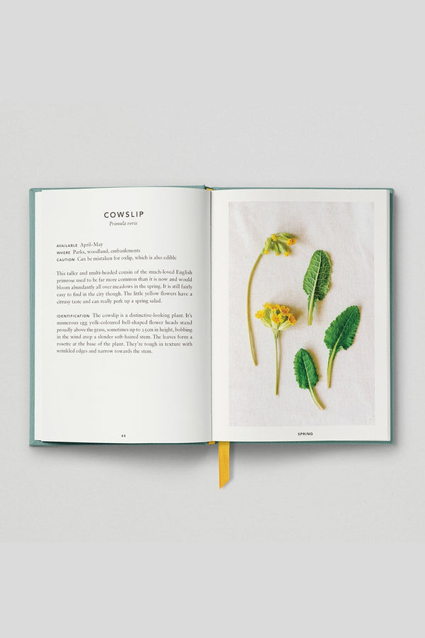 'The Urban Forager' by Hoxton Mini Press